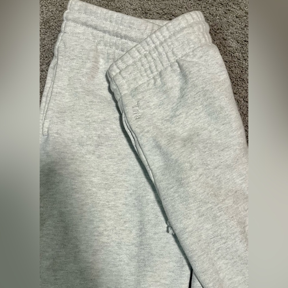 TNA Aritzia Joggers